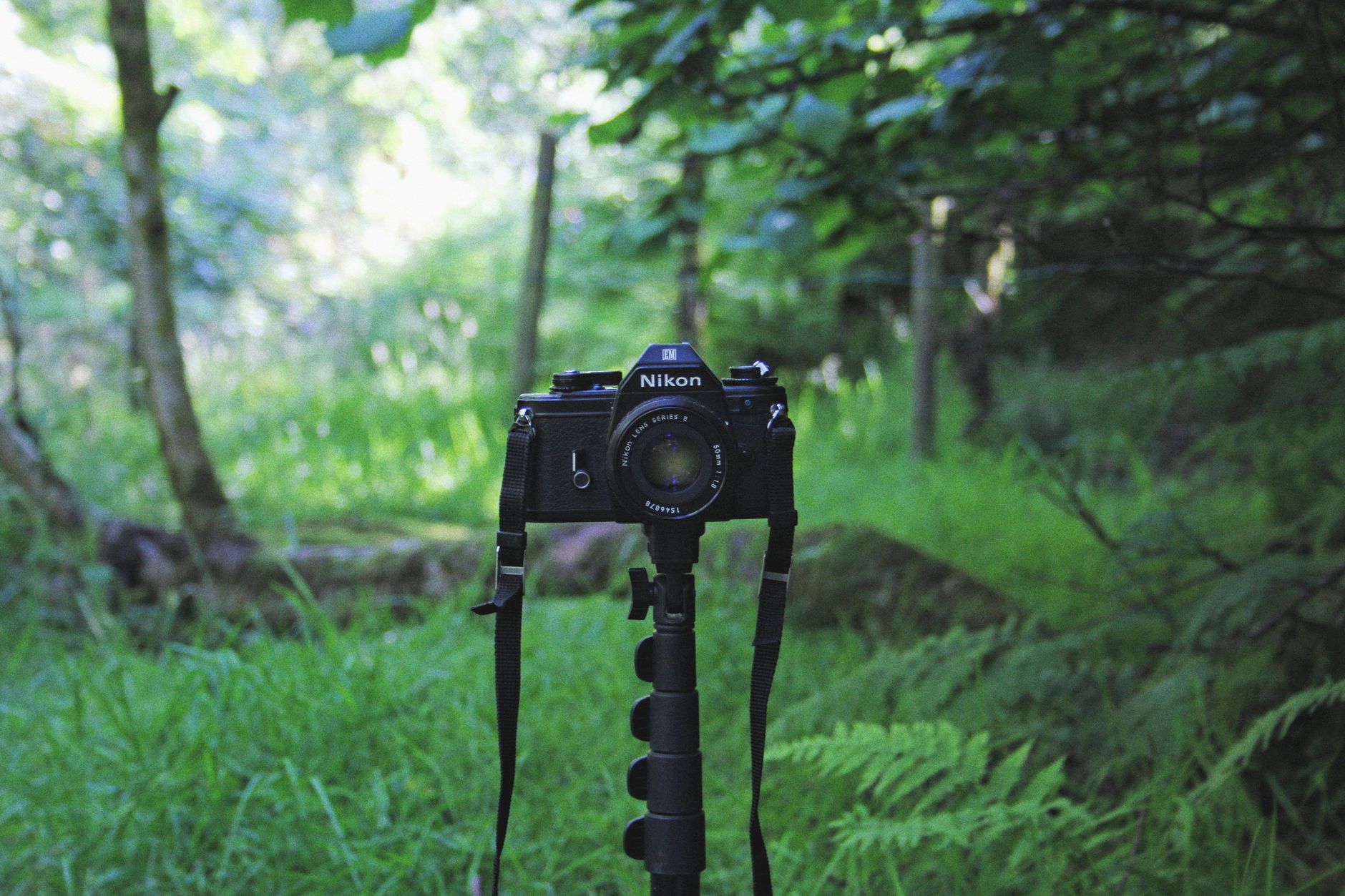 Medium format film camera on mountain rock